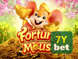 7Y BET login — configurações de segurança e proteção de conta